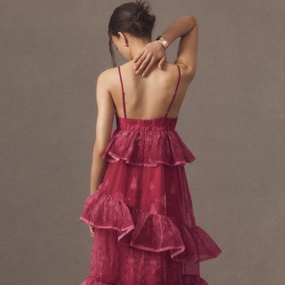 NWT Anthropologie Let Me Be Sleeveless Sheer Tiered MIDI Dress ✨🍓 - Picture 4 of 6
